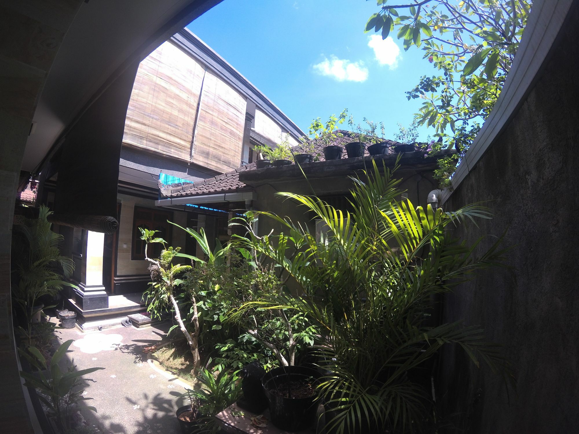 אובוד Rumah Ary Homestay & Spa מראה חיצוני תמונה