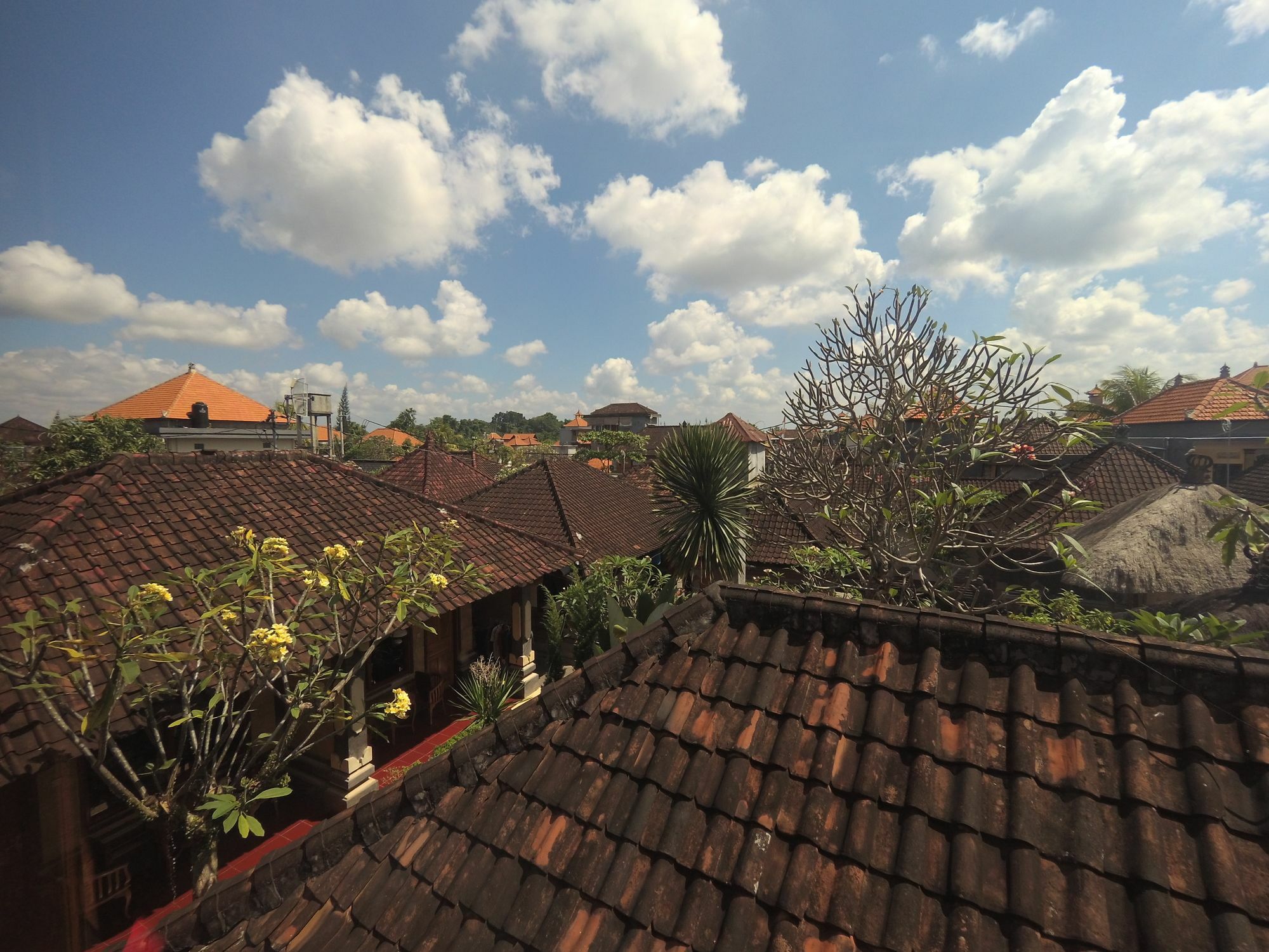 אובוד Rumah Ary Homestay & Spa מראה חיצוני תמונה