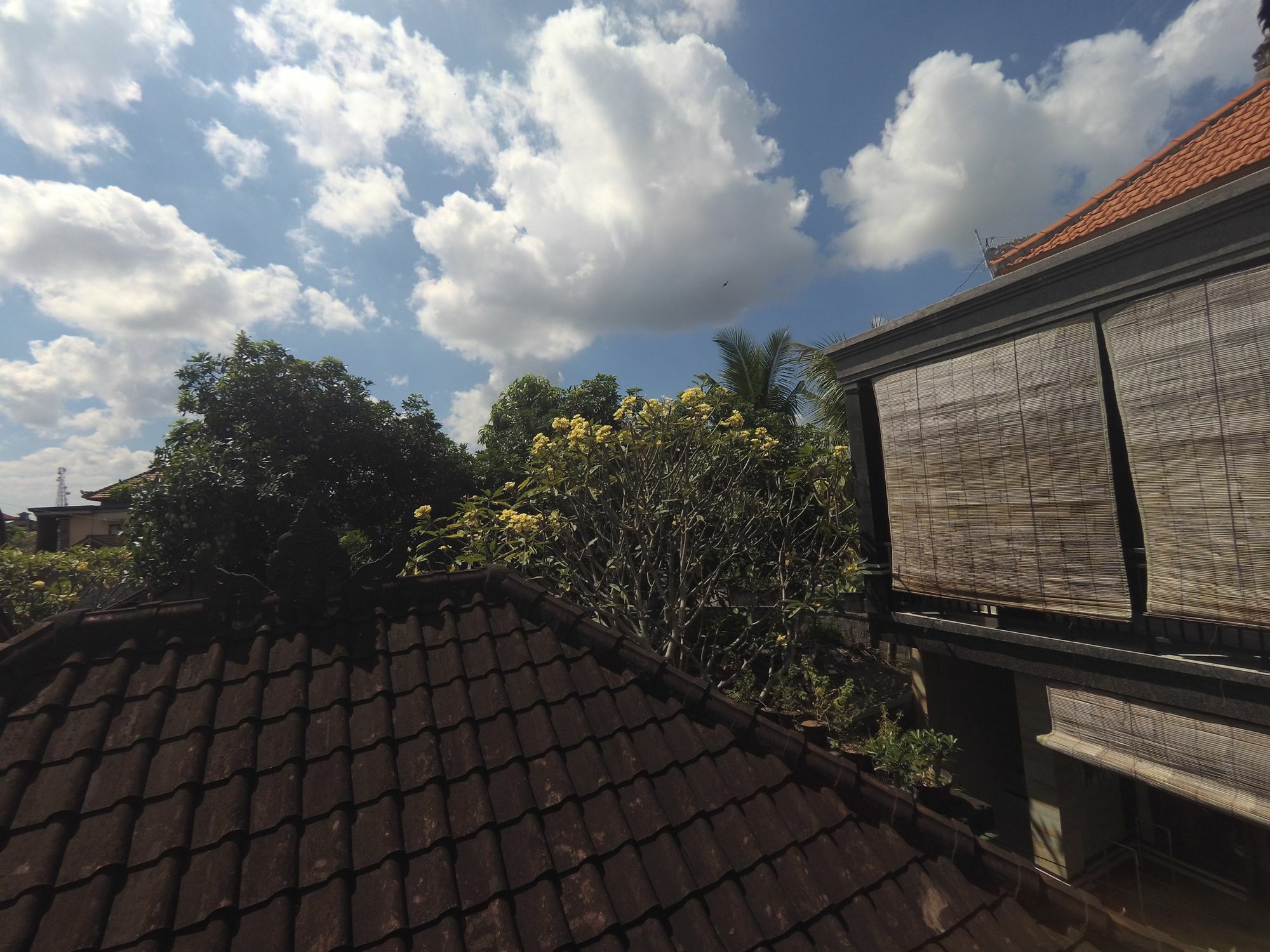 אובוד Rumah Ary Homestay & Spa מראה חיצוני תמונה