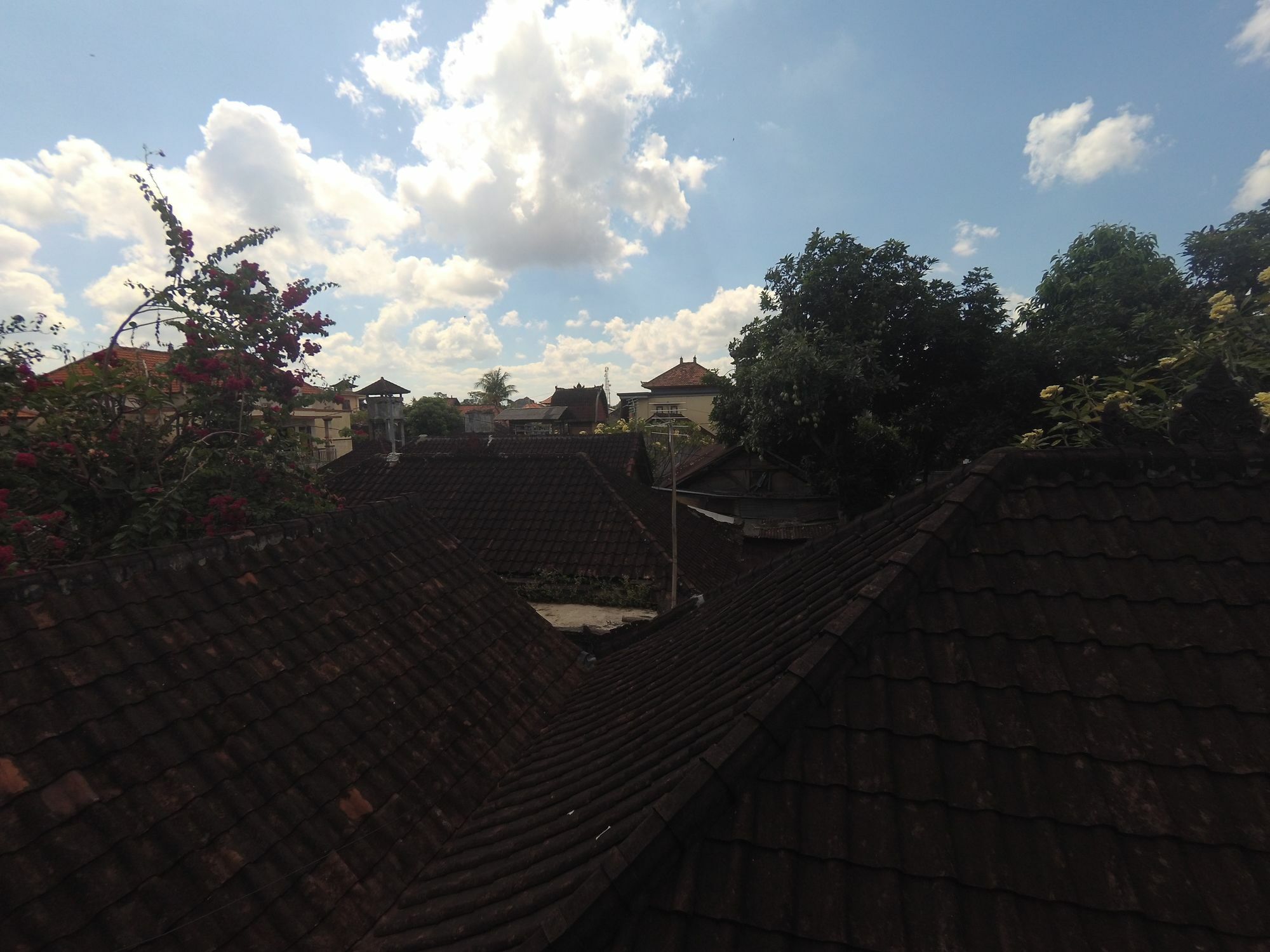 אובוד Rumah Ary Homestay & Spa מראה חיצוני תמונה